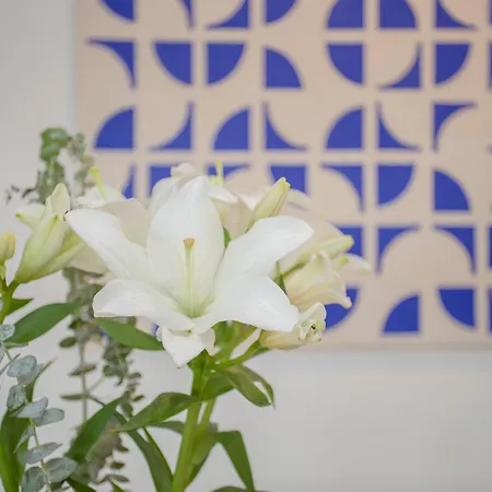 Apartament Liiiving In Gaia - Cooper Ii Vila Nova de Gaia
